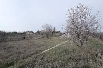 Ведение садоводства, 6 сот.